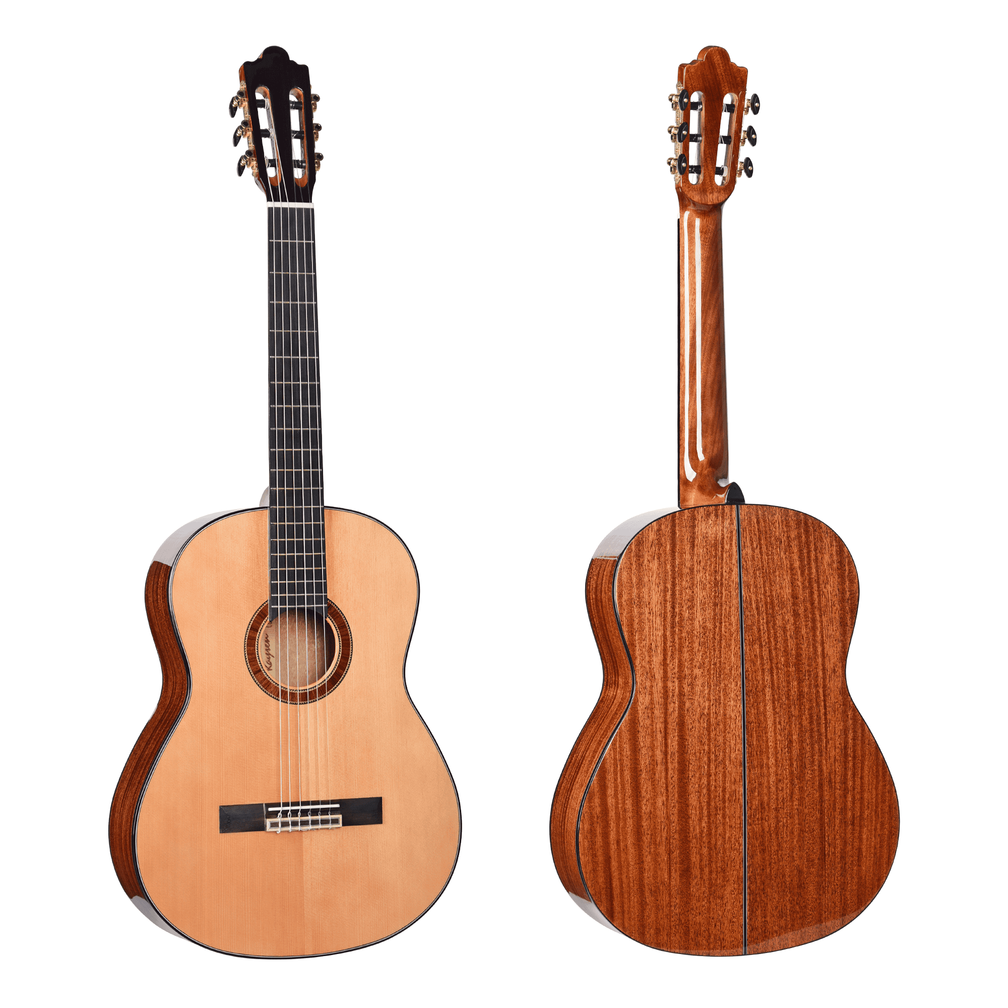 classical electric guitar גיטרה קלאסית מוגברת