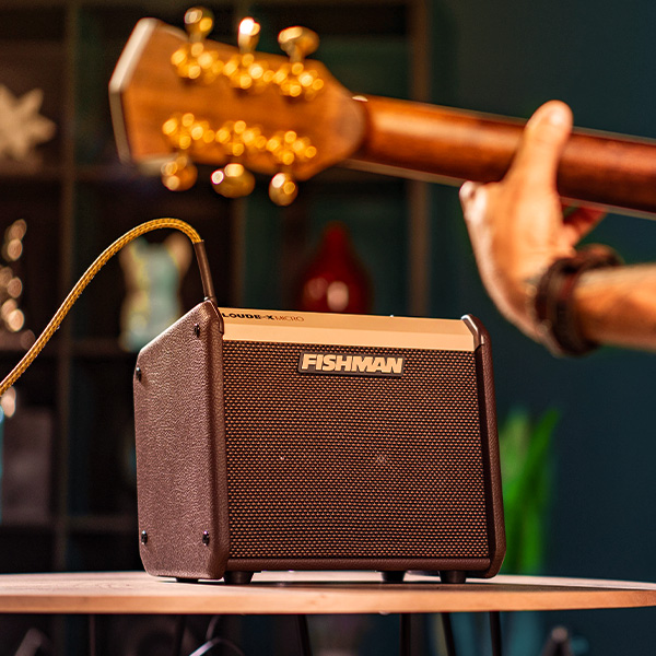 מגבר לאקוסטית 40 ואט FISHMAN Loudbox Micro 40W – תמונה 9