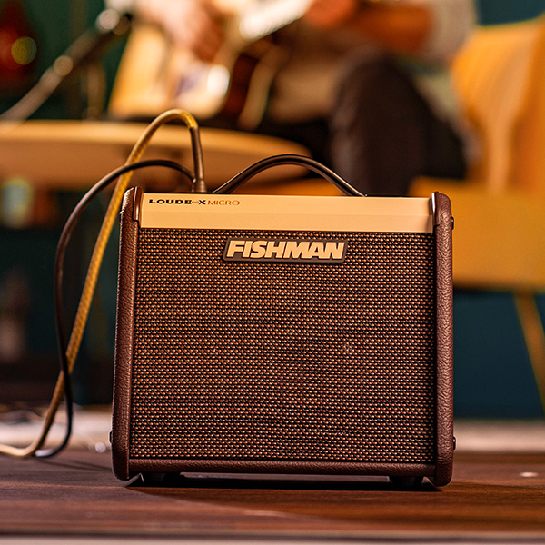 מגבר לאקוסטית 40 ואט FISHMAN Loudbox Micro 40W – תמונה 10
