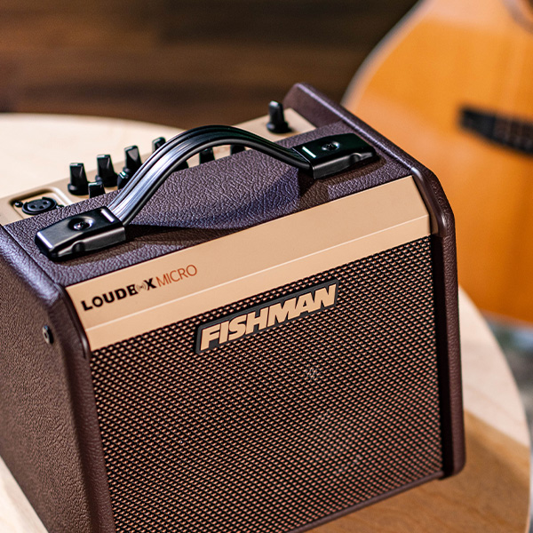 מגבר לאקוסטית 40 ואט FISHMAN Loudbox Micro 40W – תמונה 4