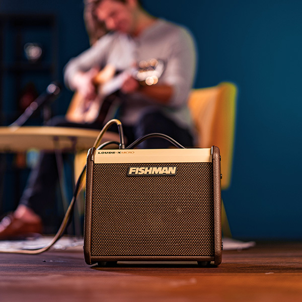 מגבר לאקוסטית 40 ואט FISHMAN Loudbox Micro 40W – תמונה 6