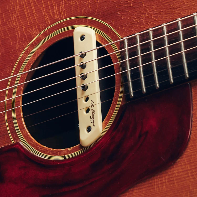 פיק אפ לתיבת תהודה L.R.BAGGS M1